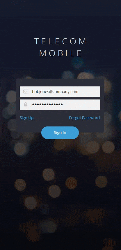 Telecom Mobile experience map